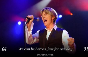 david